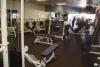 Free Weights